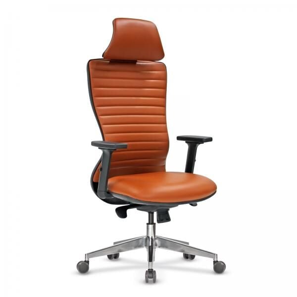 Arya Yönetici Koltuğu