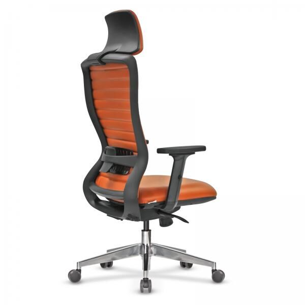 Arya Yönetici Koltuğu