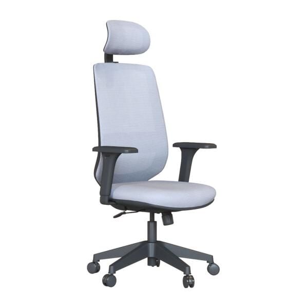 Mabel Fileli Yönetici Koltuğu