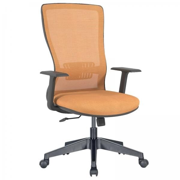 Arya Fileli Çalışma Koltuğu