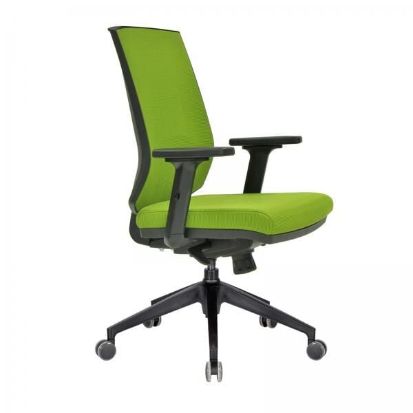 Regal Fileli Çalışma Koltuğu