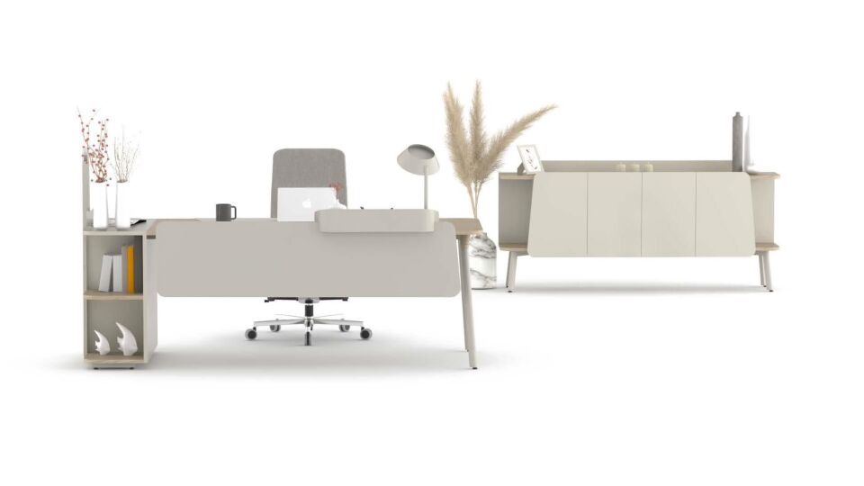 Pen Yönetici Masa Takımı