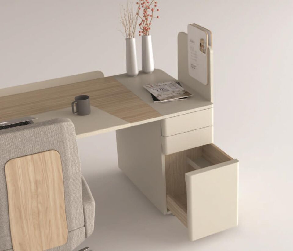 Pen Yönetici Masa Takımı