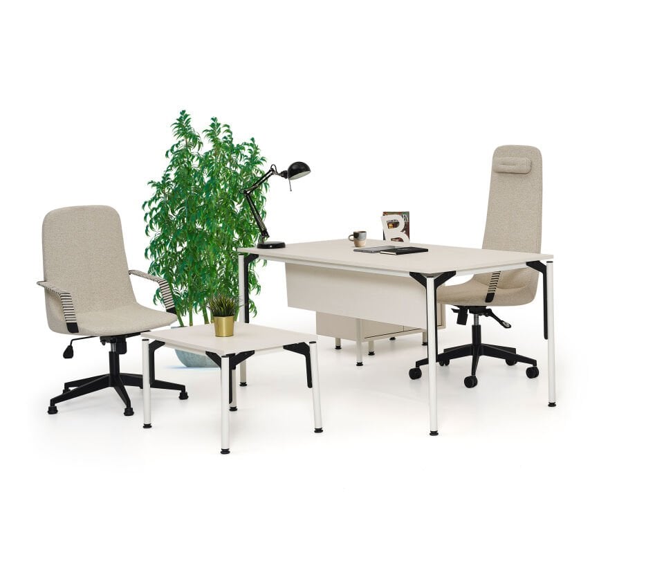 Pure Çalışma Masa Takımı