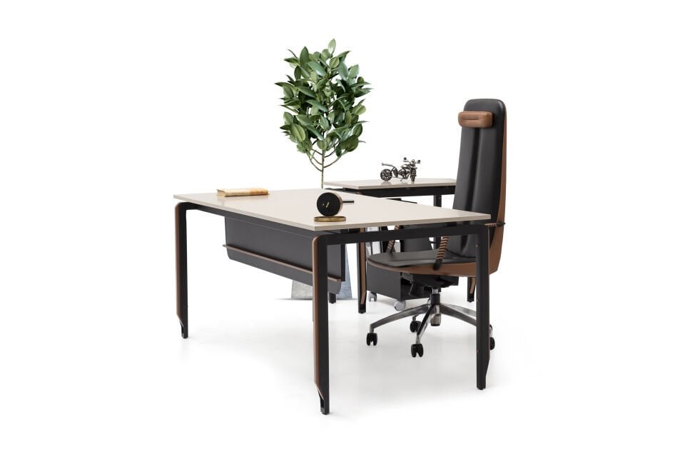 Zoom Çalışma Masa Takımı